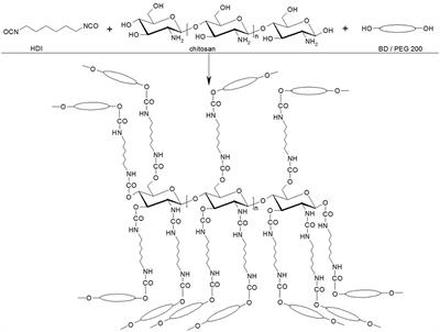 Obtaining and Characterization of a Polydisperse System Used as a Transmembrane Carrier for Isosorbide Derivatives